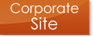 Click here to access to Gamiva Corporate Site and to Salerm products